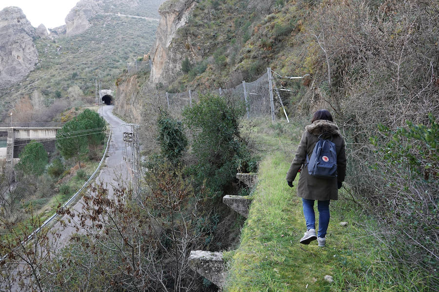 Puente del tranvía en Pinos Genil