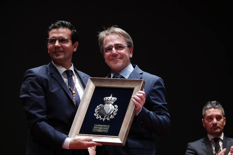 Fotos: El Ayuntamiento de Granada entrega sus honores y distinciones con la educación, la ciencia y la cultura como protagonistas