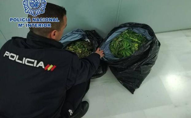 Sorprenden en Granada a un conductor con más de 12 kilos de marihuana en la furgoneta