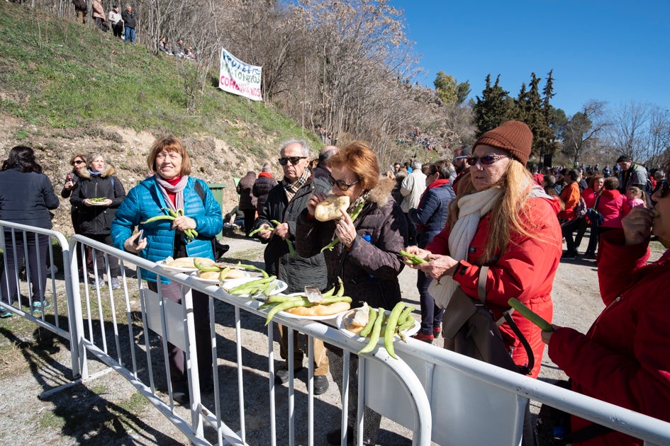 La celebración del patrón de Granada ha estado este año marcada por las alertas de nieve y frío de la Aemet