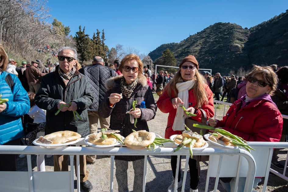 La celebración del patrón de Granada ha estado este año marcada por las alertas de nieve y frío de la Aemet