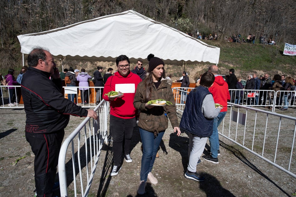 La celebración del patrón de Granada ha estado este año marcada por las alertas de nieve y frío de la Aemet