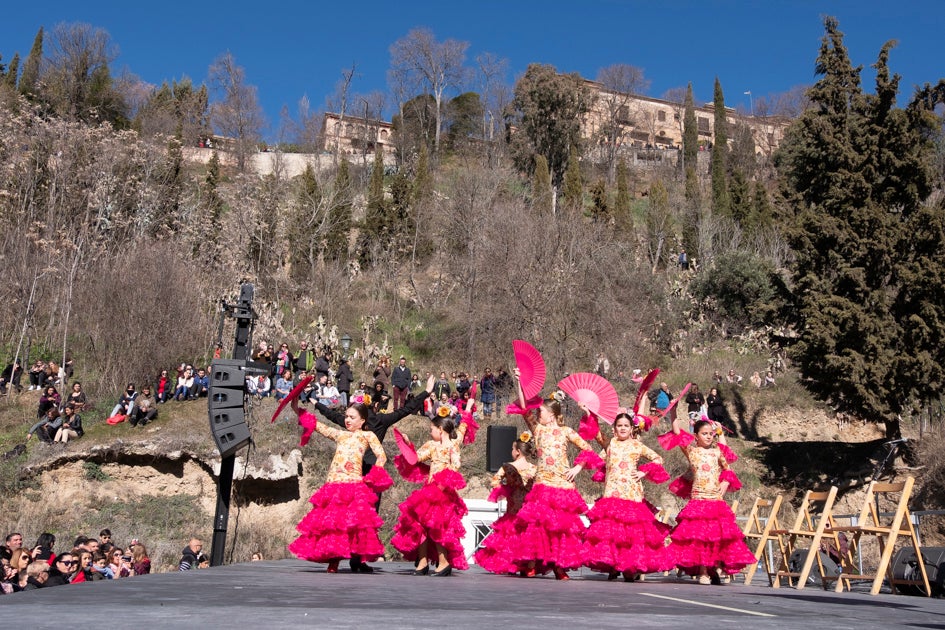 La celebración del patrón de Granada ha estado este año marcada por las alertas de nieve y frío de la Aemet