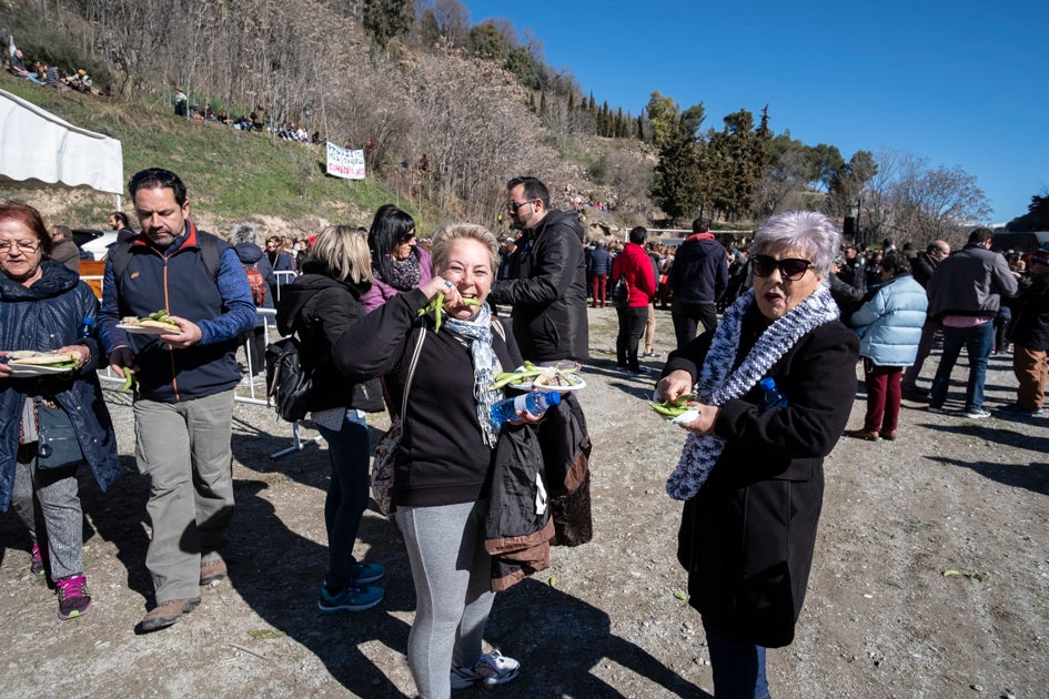 La celebración del patrón de Granada ha estado este año marcada por las alertas de nieve y frío de la Aemet