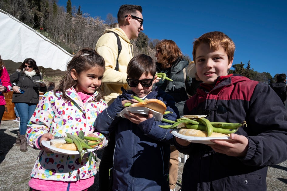 La celebración del patrón de Granada ha estado este año marcada por las alertas de nieve y frío de la Aemet