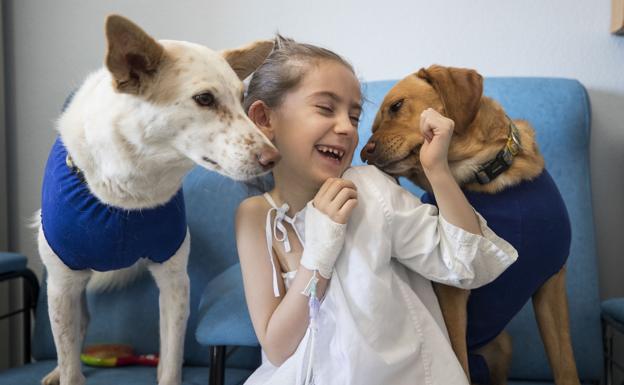 Los perros están con los niños en sesiones de 45 minutos.