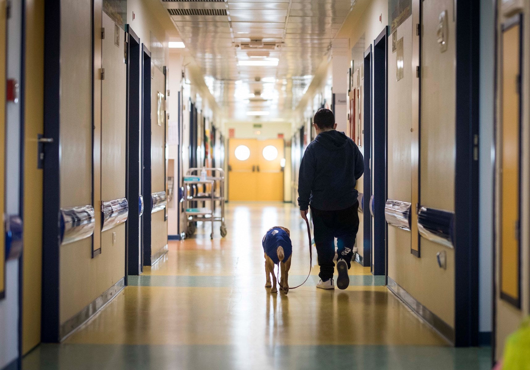 Parcitipan en sesiones de terapia individualizada de 45 minutos cada martes con niños de las unidades de Oncología y Cirugía Infantil del Materno-Infantil del Virgen de las Nieves