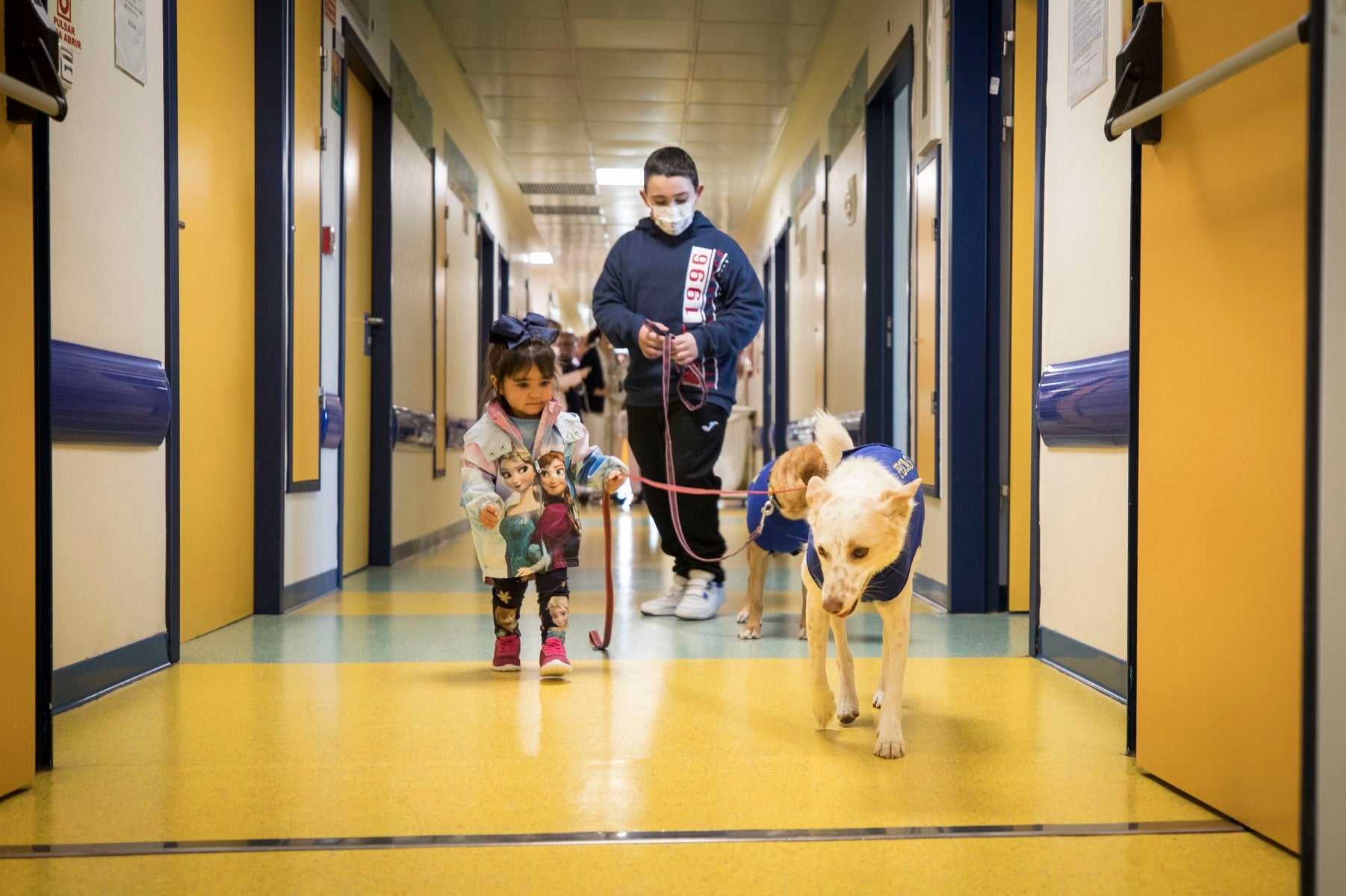 Parcitipan en sesiones de terapia individualizada de 45 minutos cada martes con niños de las unidades de Oncología y Cirugía Infantil del Materno-Infantil del Virgen de las Nieves