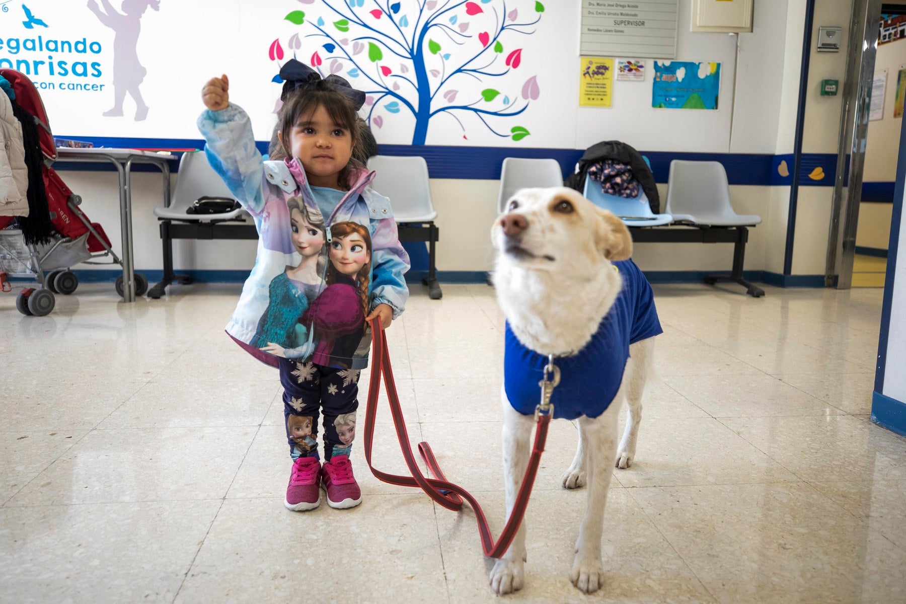 Parcitipan en sesiones de terapia individualizada de 45 minutos cada martes con niños de las unidades de Oncología y Cirugía Infantil del Materno-Infantil del Virgen de las Nieves