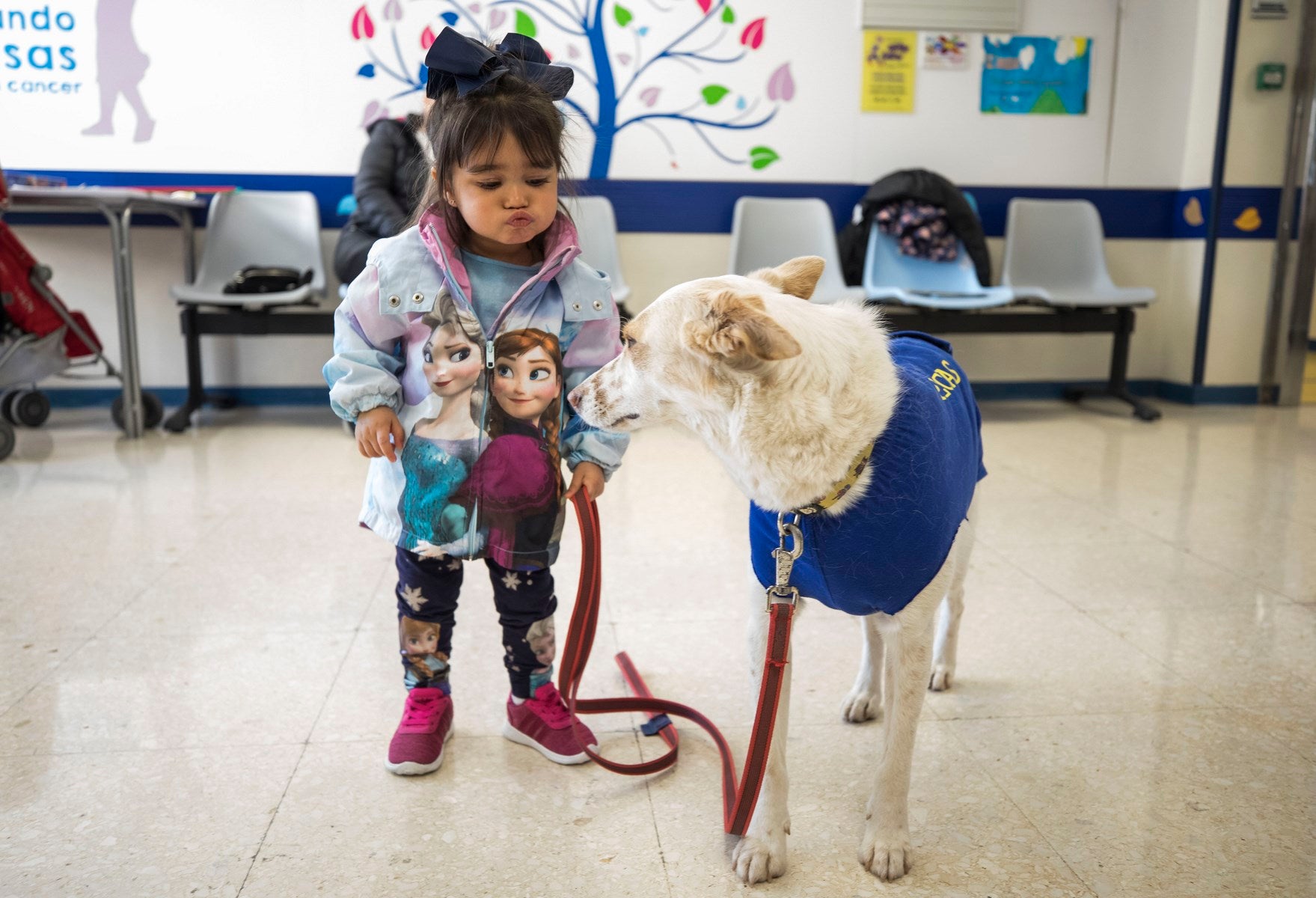 Parcitipan en sesiones de terapia individualizada de 45 minutos cada martes con niños de las unidades de Oncología y Cirugía Infantil del Materno-Infantil del Virgen de las Nieves