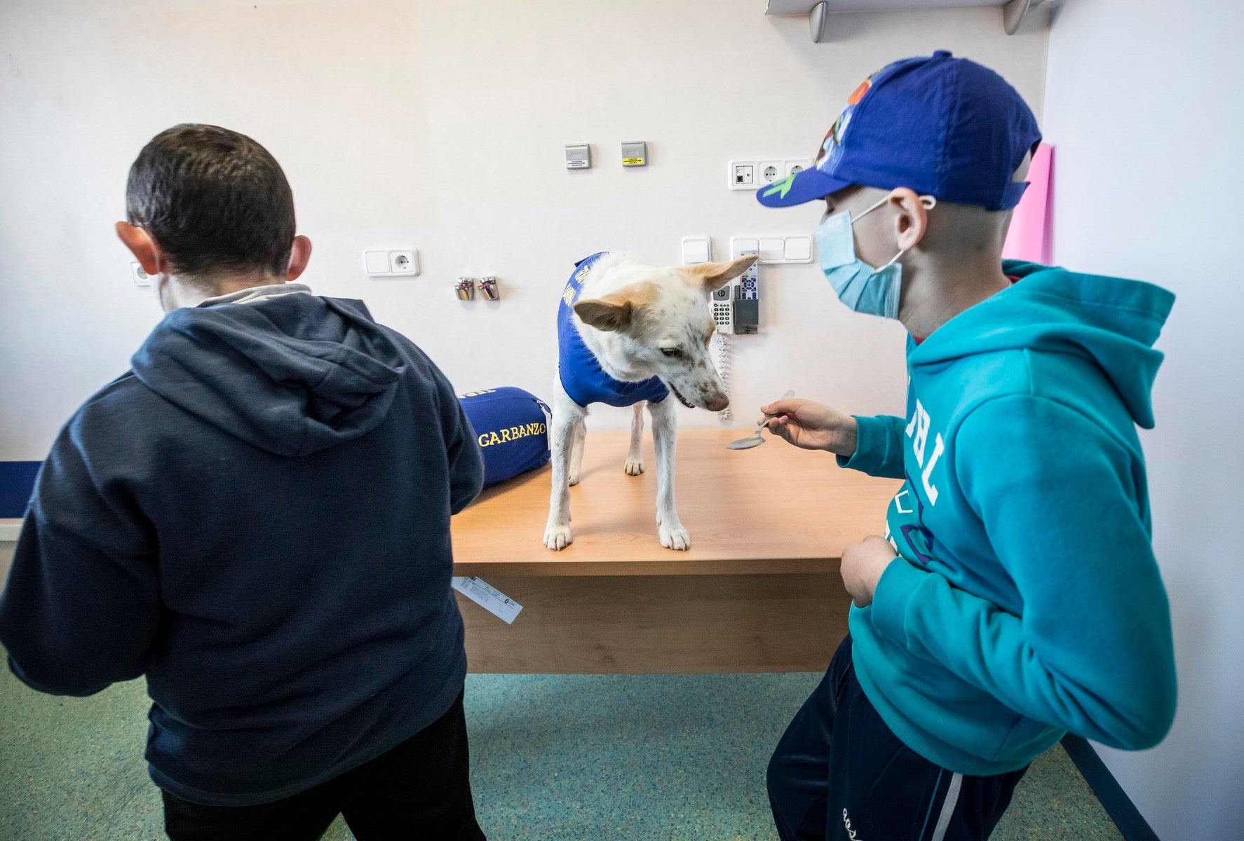 Parcitipan en sesiones de terapia individualizada de 45 minutos cada martes con niños de las unidades de Oncología y Cirugía Infantil del Materno-Infantil del Virgen de las Nieves