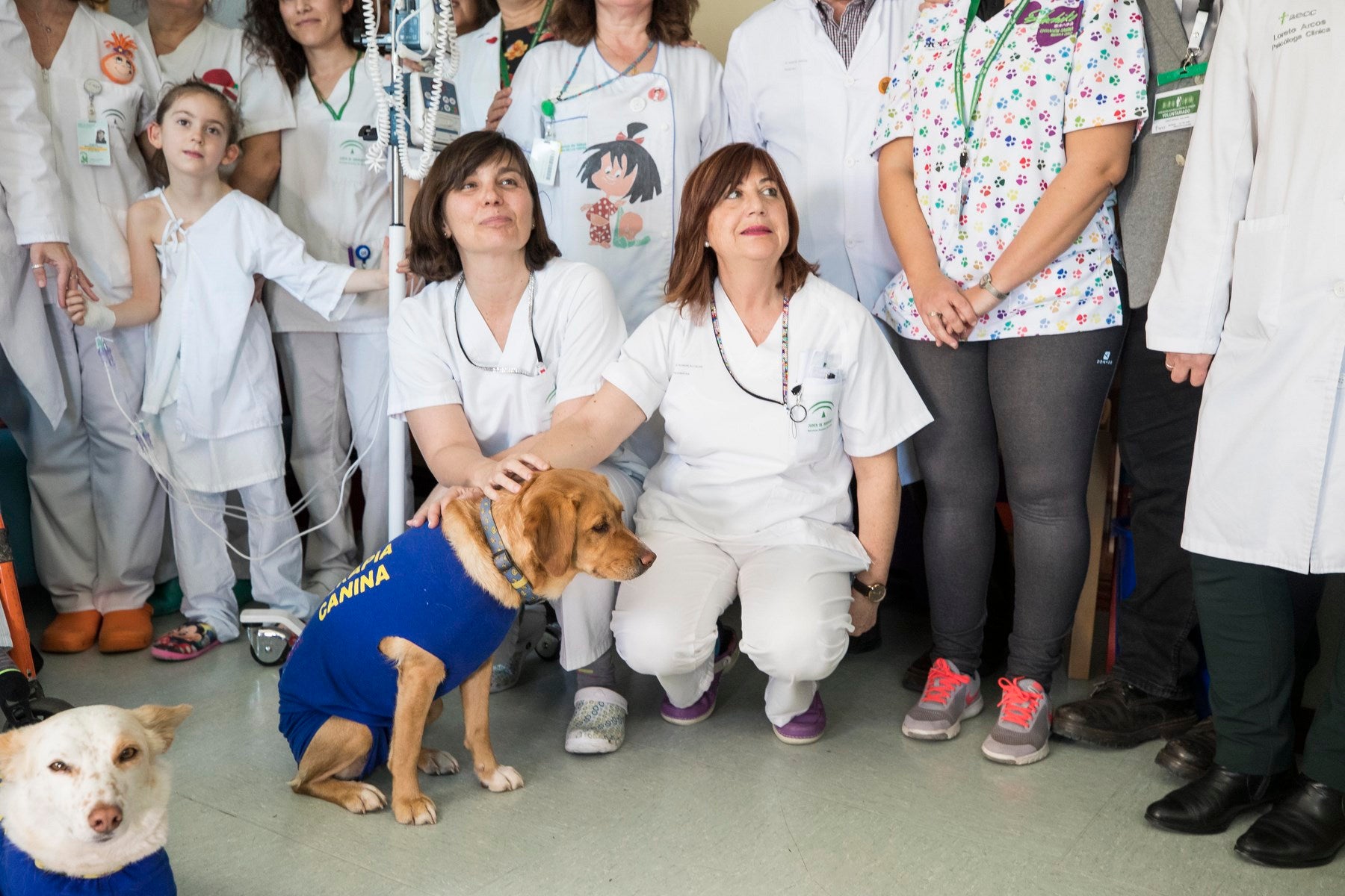 Parcitipan en sesiones de terapia individualizada de 45 minutos cada martes con niños de las unidades de Oncología y Cirugía Infantil del Materno-Infantil del Virgen de las Nieves