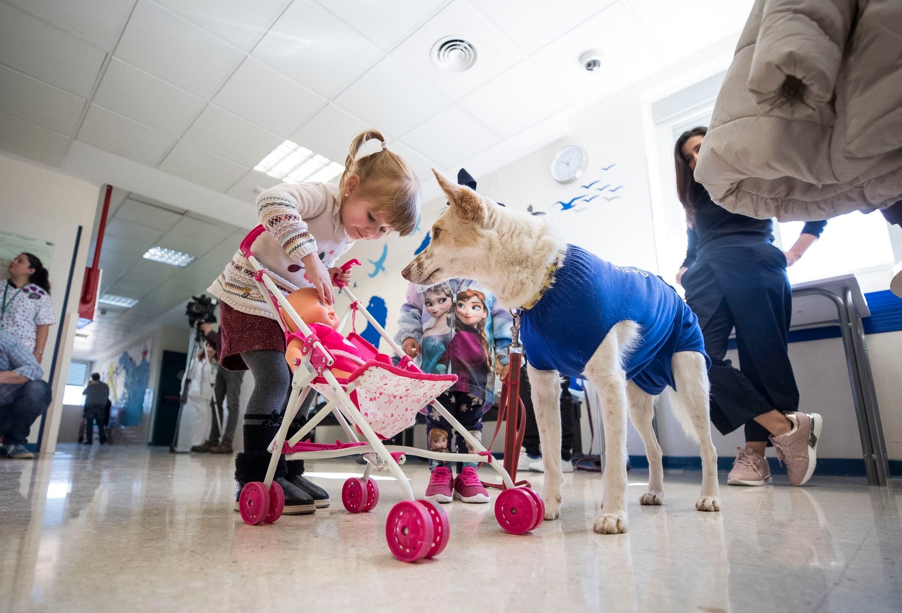 Parcitipan en sesiones de terapia individualizada de 45 minutos cada martes con niños de las unidades de Oncología y Cirugía Infantil del Materno-Infantil del Virgen de las Nieves