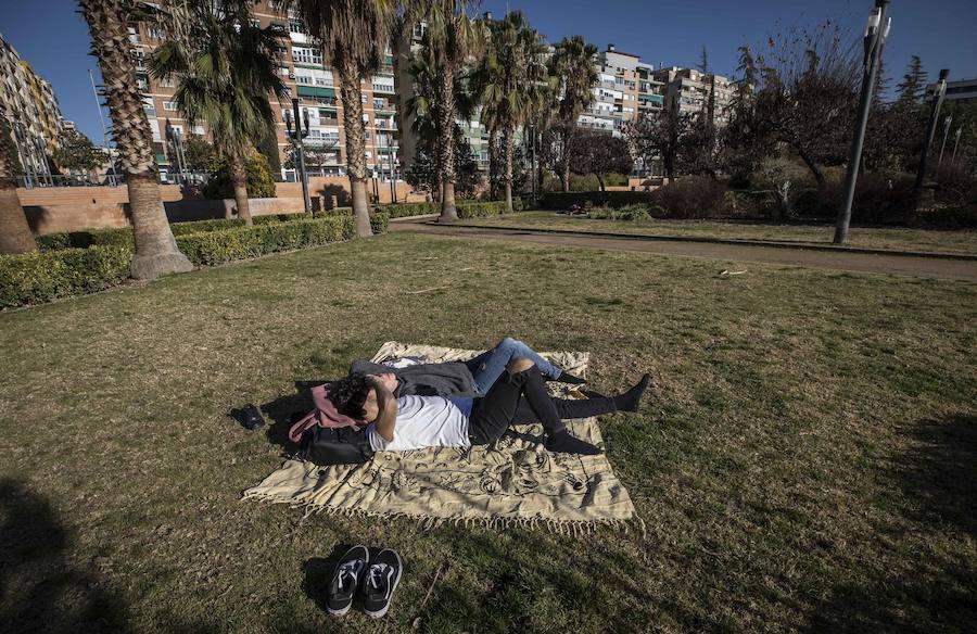 El mercurio anda revuelto en los primeros días de febrero y el buen tiempo está dejando estampas propias de la primavera en toda la provincia, sobre todo a mediodía. La temperaturas varían tanto en apenas unas horas que la ropa de abrigo de la mañana sobra a la hora de comer. Algunos no han desaprovechado para tumbarse al sol en algunos puntos de la capital granadina... ¡en manga corta!