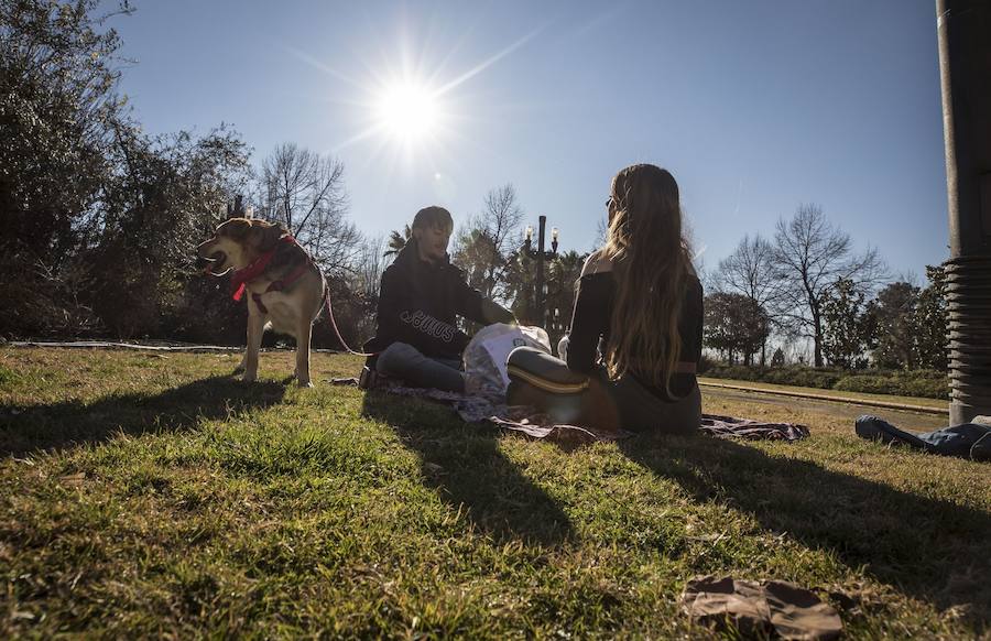 El mercurio anda revuelto en los primeros días de febrero y el buen tiempo está dejando estampas propias de la primavera en toda la provincia, sobre todo a mediodía. La temperaturas varían tanto en apenas unas horas que la ropa de abrigo de la mañana sobra a la hora de comer. Algunos no han desaprovechado para tumbarse al sol en algunos puntos de la capital granadina... ¡en manga corta!