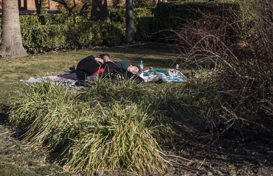 El mercurio anda revuelto en los primeros días de febrero y el buen tiempo está dejando estampas propias de la primavera en toda la provincia, sobre todo a mediodía. La temperaturas varían tanto en apenas unas horas que la ropa de abrigo de la mañana sobra a la hora de comer. Algunos no han desaprovechado para tumbarse al sol en algunos puntos de la capital granadina... ¡en manga corta!
