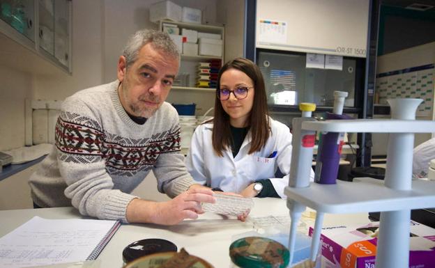 Manuel Espinosa e Irene del Rey, investigadores de la Estación Experimental del Zaidín, trabajando con una muestra de bacterias en el laboratorio 