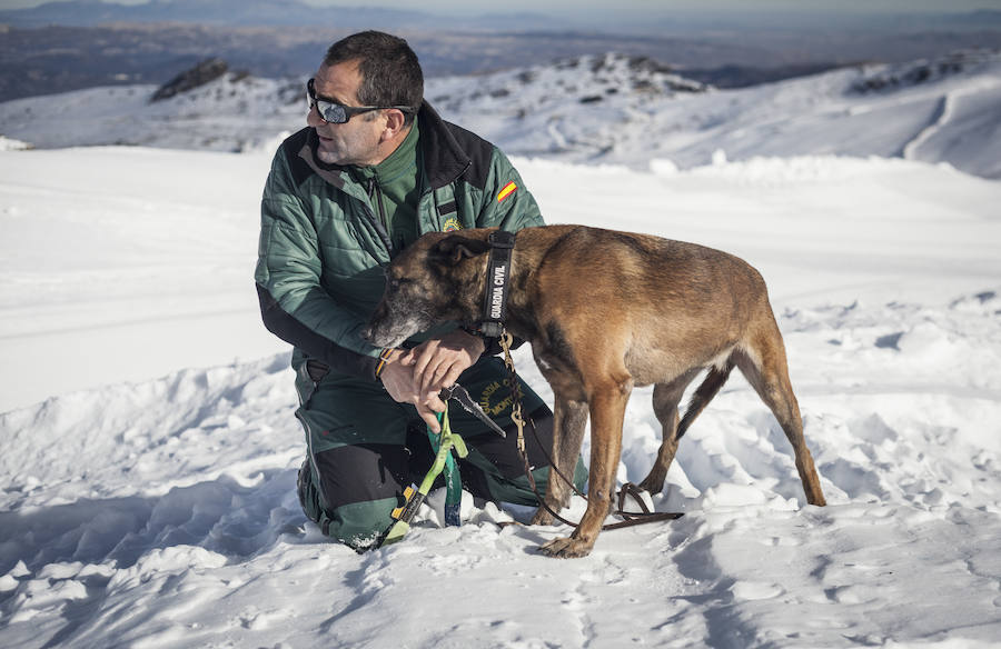 Fotos: Formación de guardias civiles en Sierra Nevada