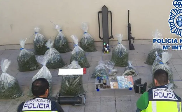 Desmantelan dos plantaciones de marihuana en sendos invernaderos de Armilla y Otura