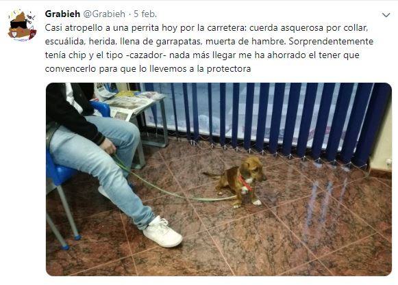 Lo más viral de esta semana, sin duda, la señora de Begíjar que explicó con expresividad en Canal Sur su reacción al sentir la caída de un rayo, haciéndose viral en redes sociales