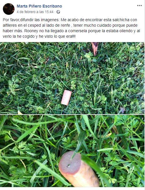 Lo más viral de esta semana, sin duda, la señora de Begíjar que explicó con expresividad en Canal Sur su reacción al sentir la caída de un rayo, haciéndose viral en redes sociales