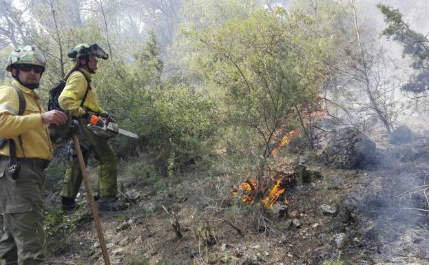 Profesionales del Infoca trabajan para controlar un fuego en Siles, en una imagen de archivo