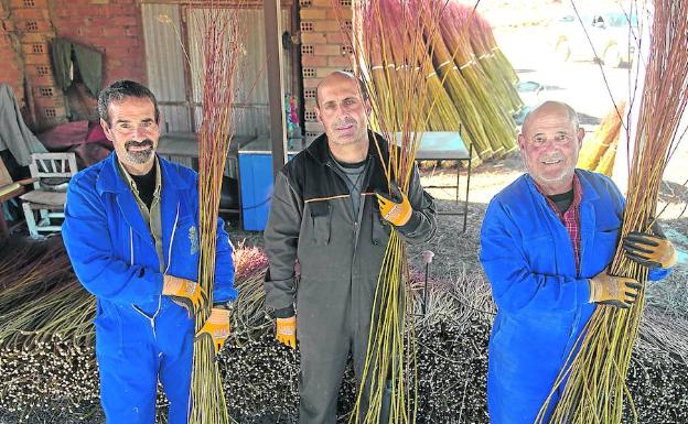 Eduardo y los hermanos Vindel, Abel y Edvidio, clasifican el mimbre por su longitud. 