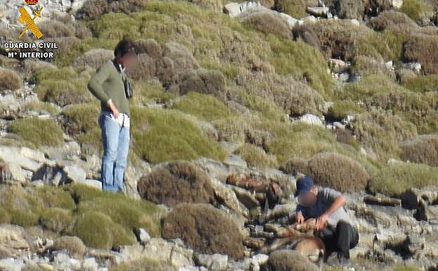 Sorprenden a tres cazadores sin autorización en Zafarraya