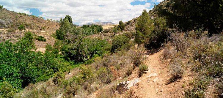 La Gran Senda de los Primeros Pobladores: 6 pueblos y 143 kilómetros cargados de aventura, naturaleza y cultura