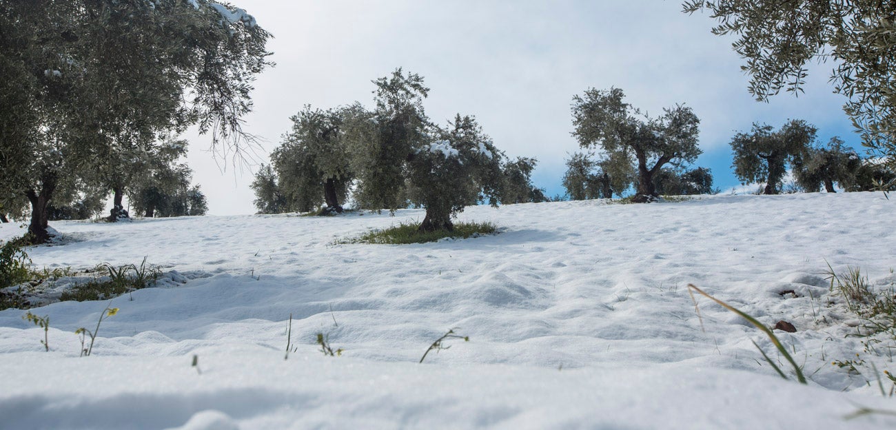 Las nevadas sobre Granada han dejado siempre unas estampas de espectacualr belleza. Recogemos ahora una serie de fotografías de incuestionable valor.
