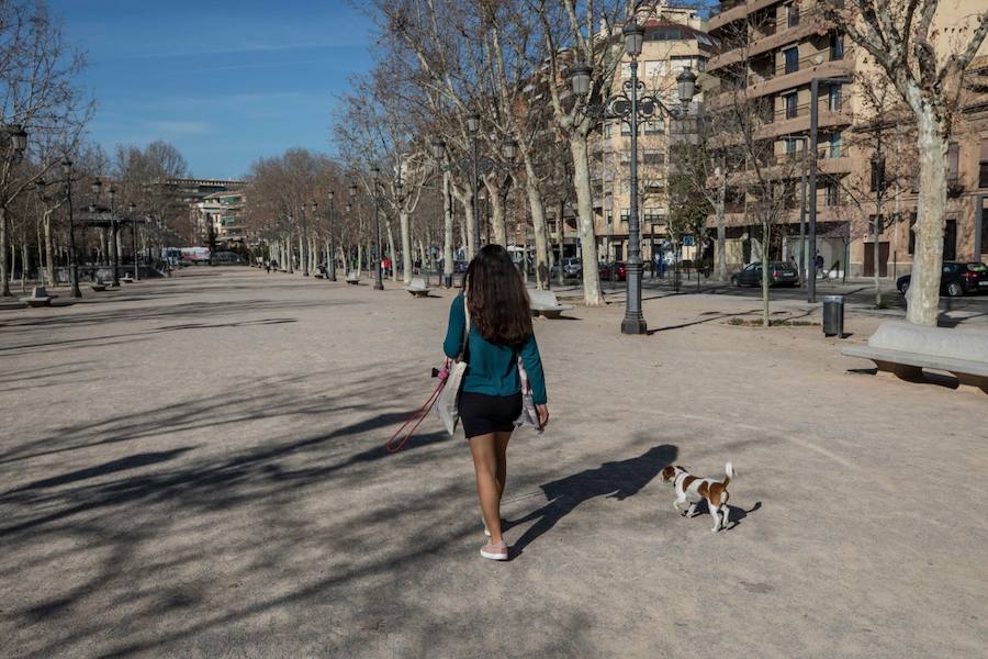 Algunos años el Día de Andalucía se ha celebrado bajo un manto blanco. La nieves este febrero de 2019 se divisa de lejos en Sierra Nevada con un sol de justicia y temepraturas de lo más cálidas para esta época de la año.