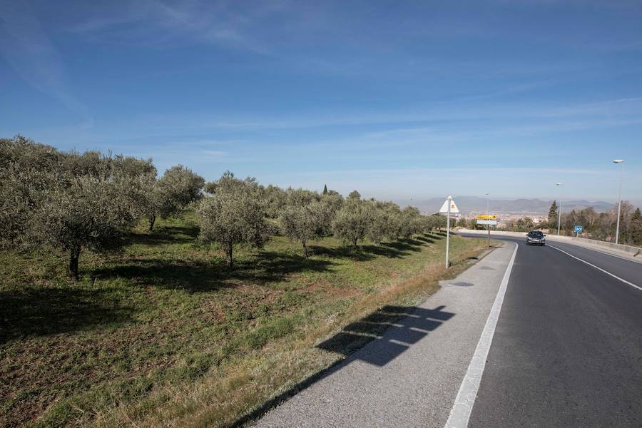 Algunos años el Día de Andalucía se ha celebrado bajo un manto blanco. La nieves este febrero de 2019 se divisa de lejos en Sierra Nevada con un sol de justicia y temepraturas de lo más cálidas para esta época de la año.