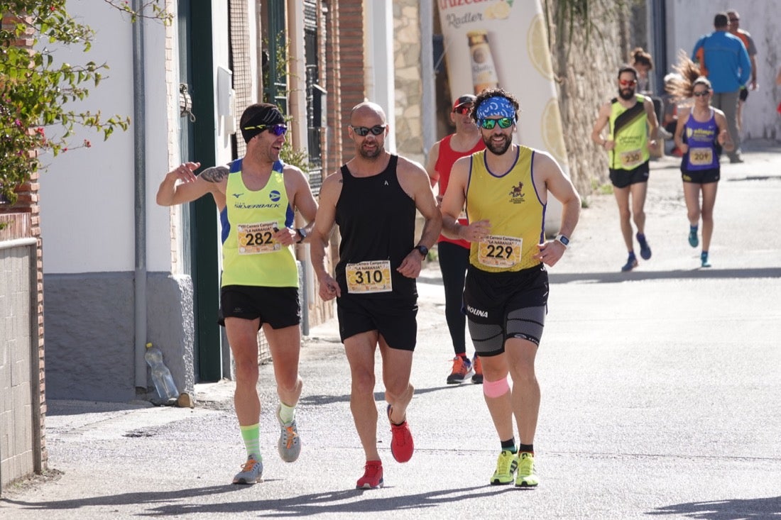 El Valle de Lecrín acoge una modesta carrera con 350 participantes entre corredores absolutos, senderistas y chiquillos