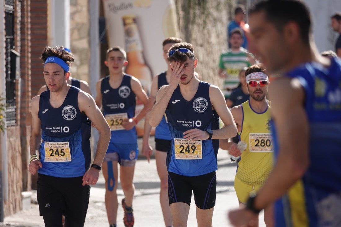 El Valle de Lecrín acoge una modesta carrera con 350 participantes entre corredores absolutos, senderistas y chiquillos