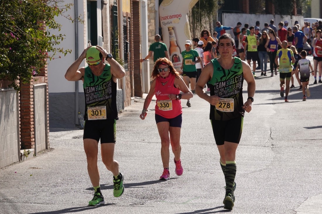 El Valle de Lecrín acoge una modesta carrera con 350 participantes entre corredores absolutos, senderistas y chiquillos