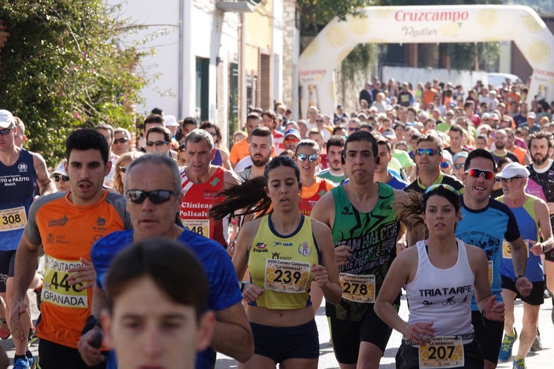 El Valle de Lecrín acoge una modesta carrera con 350 participantes entre corredores absolutos, senderistas y chiquillos