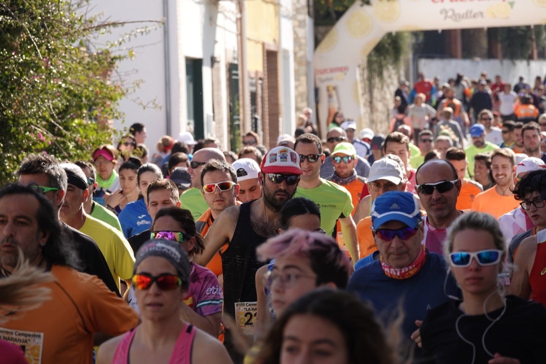 El Valle de Lecrín acoge una modesta carrera con 350 participantes entre corredores absolutos, senderistas y chiquillos