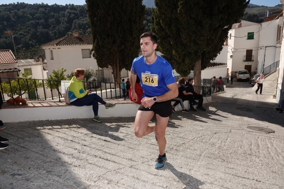 El Valle de Lecrín acoge una modesta carrera con 350 participantes entre corredores absolutos, senderistas y chiquillos