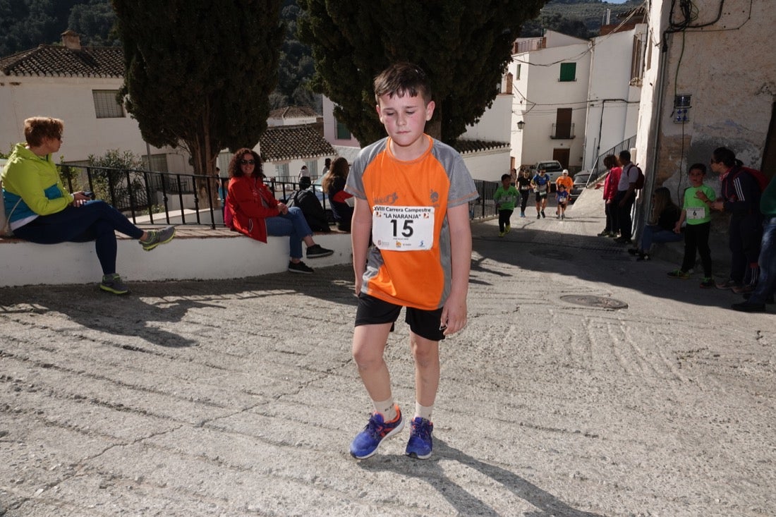El Valle de Lecrín acoge una modesta carrera con 350 participantes entre corredores absolutos, senderistas y chiquillos