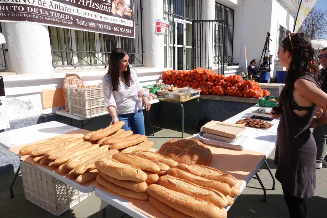 El Valle de Lecrín acoge una modesta carrera con 350 participantes entre corredores absolutos, senderistas y chiquillos