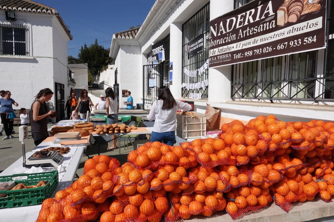 El Valle de Lecrín acoge una modesta carrera con 350 participantes entre corredores absolutos, senderistas y chiquillos