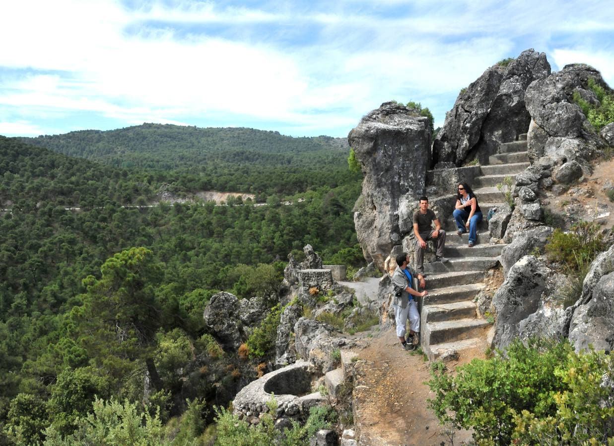 Caminar entre bosques, riberas, acequias, alamedas, ríos y torres frente al mar, son paseos que alimentan el espíritu en compañía de su pareja, familia o amigos