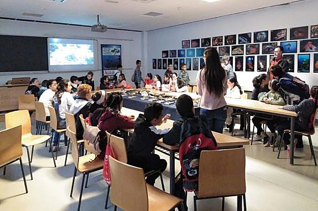 Estudiantes de diferentes centros educativos han pasado por las actividades programadas.