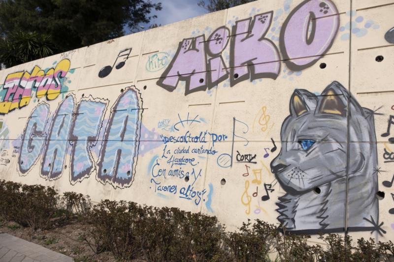 Cordobesa pero residente en Granada durante varios años, su recuerdo sigue vivo en un enorme mural próximo a la Estación de Autobuses