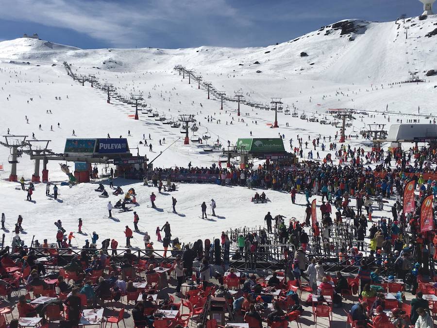 El buen tiempo y el puente de Andalucía han provocado que la estación de esquí granadina presente una aspecto espectacular, con miles de esquiadores y visitantes disfrutando de Sierra Nevada.