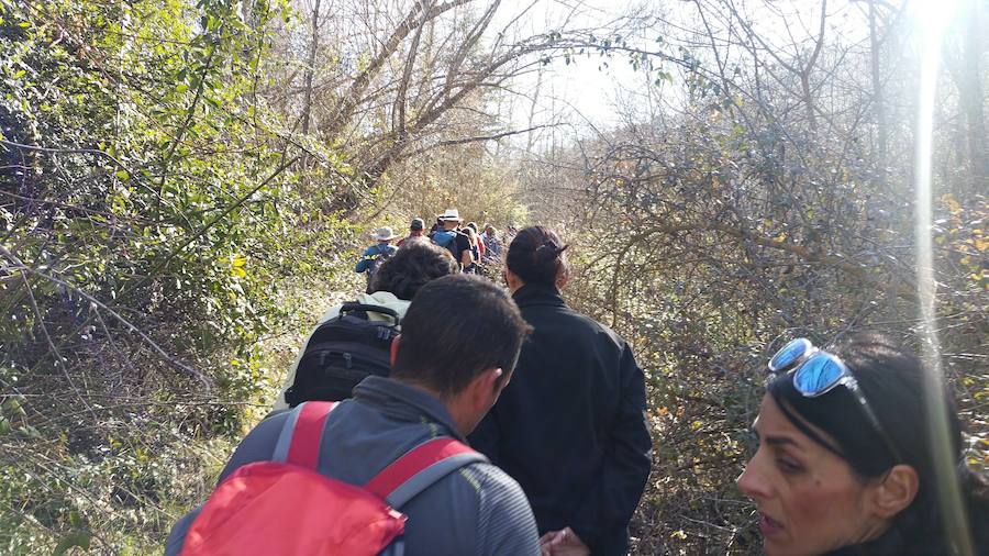 Un grupo de jóvenes de Beas de Granada encabeza una marcha para que no se olvide la senda que ha unido históricamente este municipio con la capital