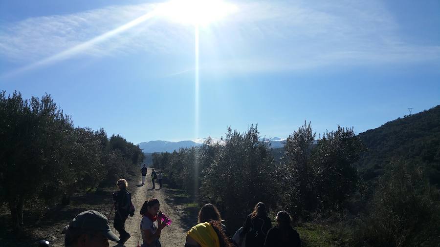 Un grupo de jóvenes de Beas de Granada encabeza una marcha para que no se olvide la senda que ha unido históricamente este municipio con la capital