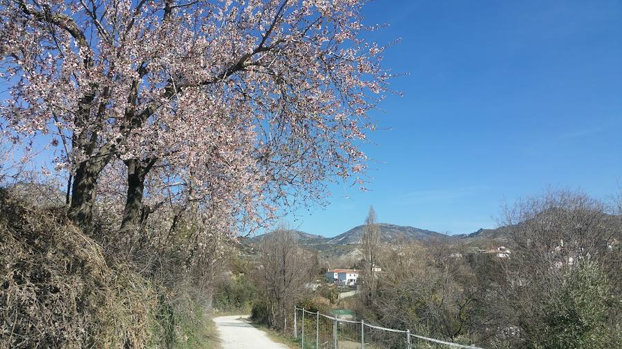Un grupo de jóvenes de Beas de Granada encabeza una marcha para que no se olvide la senda que ha unido históricamente este municipio con la capital