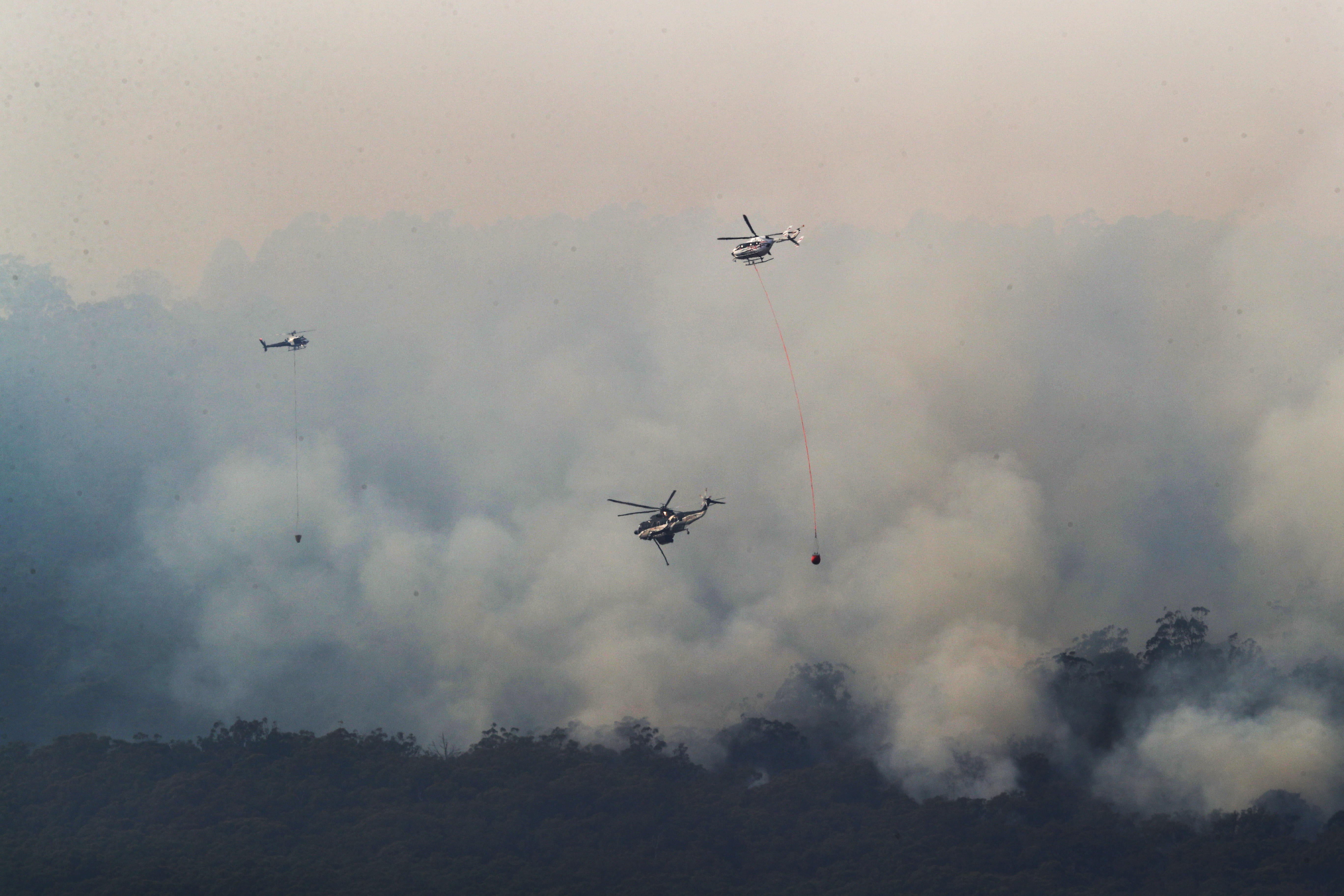 El norte de España se ha visto asolado este fin de semana con más de un centenar de incendios que han afectado duramente a Asturias, Cantabria y Vizcaya. Algunos de ellos ya están controlado, pero, en el Principado, 99 de ellos aún continuan en activos; mientras que en Cantabria el número de incendios activos se ha rebajado de 21 a 17, de un total de más de 60 que fueron provocados en la comunidad autónoma.