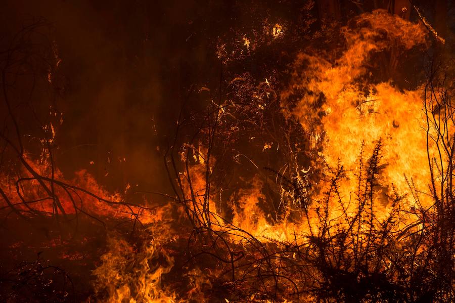 El norte de España se ha visto asolado este fin de semana con más de un centenar de incendios que han afectado duramente a Asturias, Cantabria y Vizcaya. Algunos de ellos ya están controlado, pero, en el Principado, 99 de ellos aún continuan en activos; mientras que en Cantabria el número de incendios activos se ha rebajado de 21 a 17, de un total de más de 60 que fueron provocados en la comunidad autónoma.